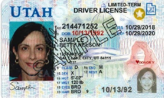 Drivers license renewal ogden utah